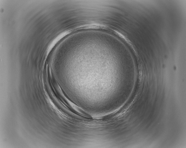 X0000056371418200508261351