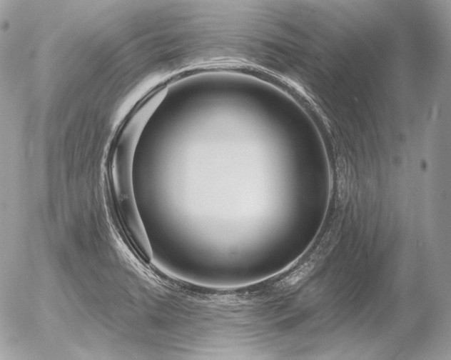 X0000056371422200508261351