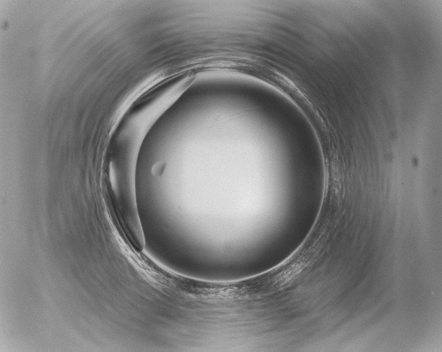 X0000056371426200508261351