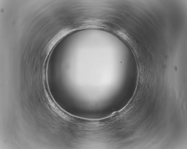 X0000056371431200508261351