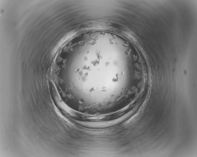 X0000056371433200508261351
