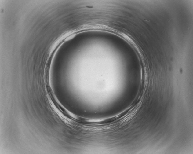 X0000056371438200508261351