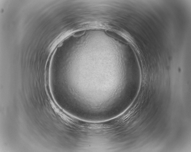 X0000056371439200508261351