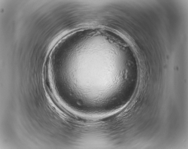 X0000056371440200508261351