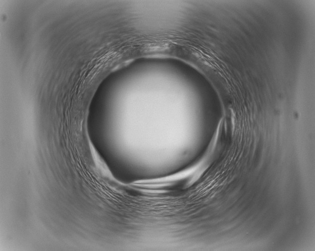 X0000056371441200508261351