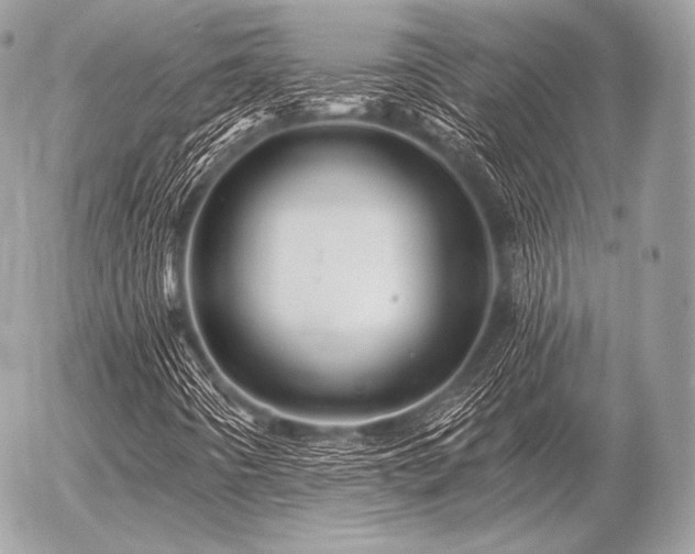 X0000056371442200508261351