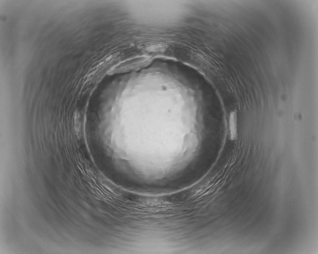 X0000056371443200508261351