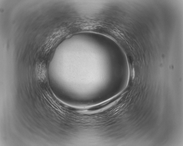 X0000056371444200508261351