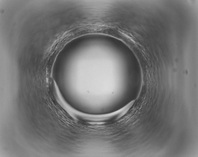 X0000056371447200508261351