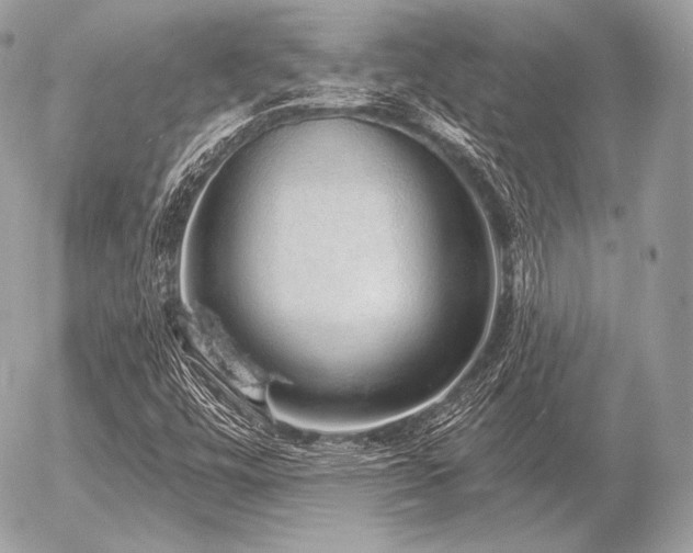 X0000056371448200508261351