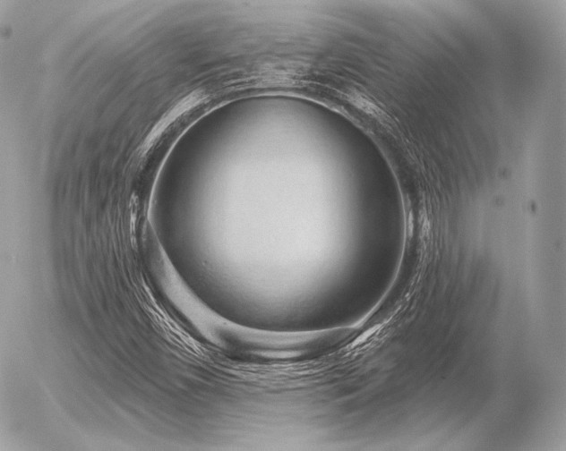 X0000056371450200508261351