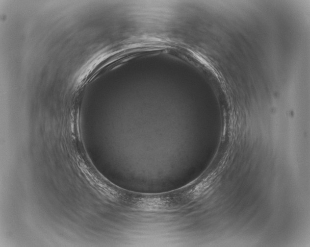 X0000056371455200508261350