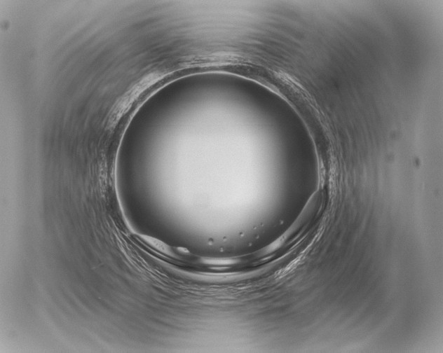 X0000056371457200508261350