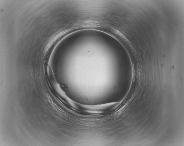 X0000056371461200508261350