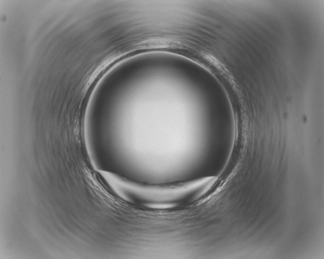 X0000056371465200508261350