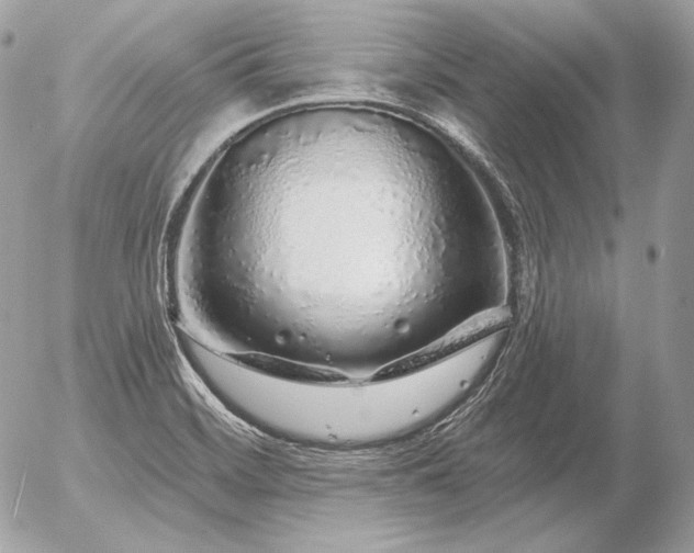 X0000056371468200508261350