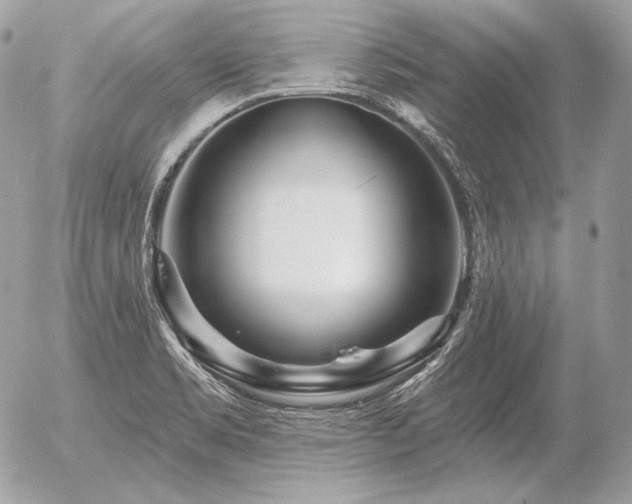 X0000056371469200508261350