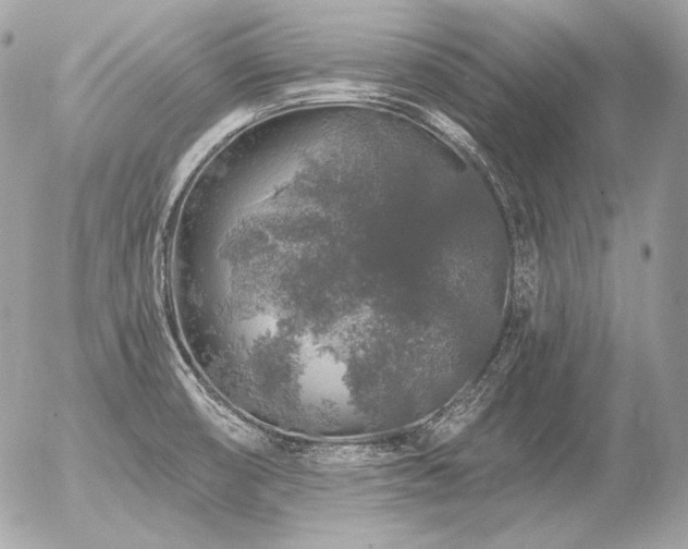 X0000056371474200508261350