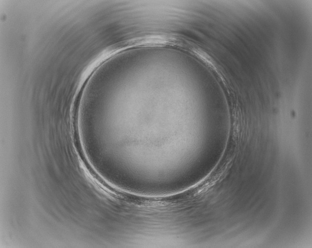 X0000056371475200508261350