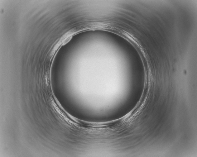 X0000056371481200508261350