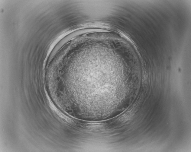 X0000056371483200508261350