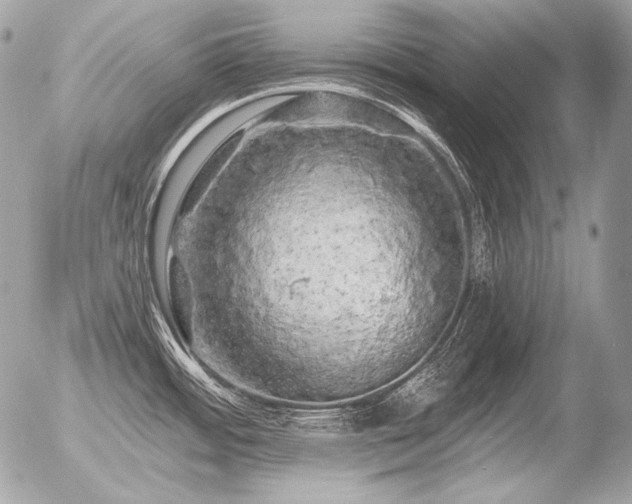 X0000056371484200508261350