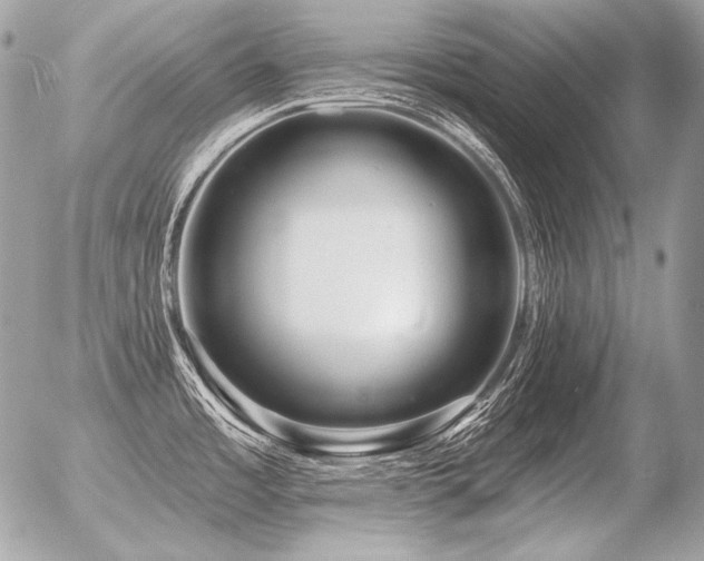 X0000056371485200508261350