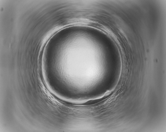 X0000056371488200508261350
