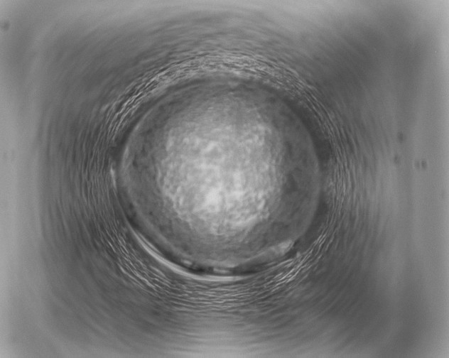 X0000056371490200508261349