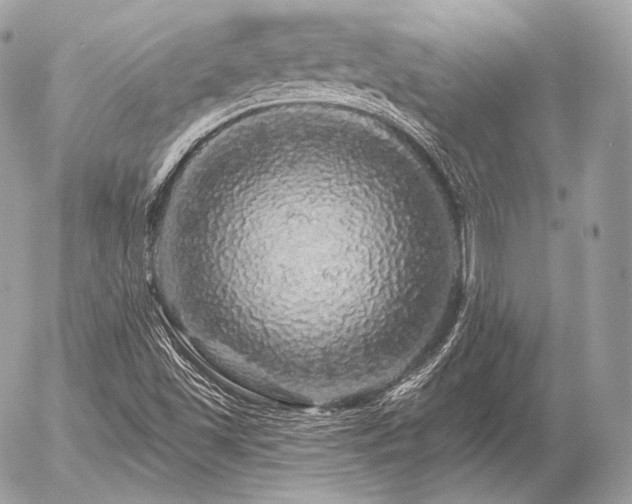 X0000056371501200508261349