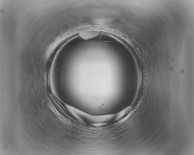 X0000056371503200508261349