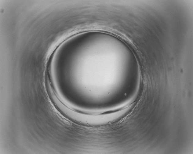 X0000056371512200508261349