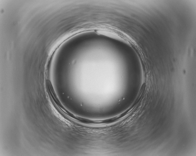 X0000056371528200508261350