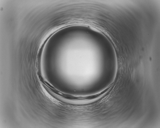 X0000056371531200508261350