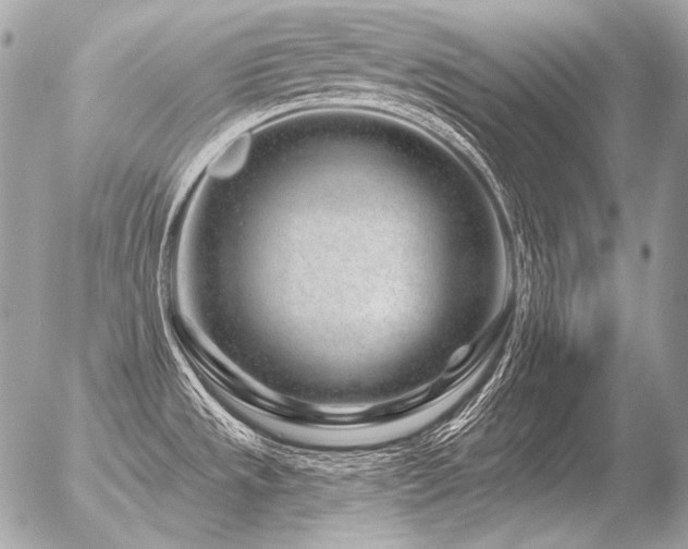 X0000056371533200508261350