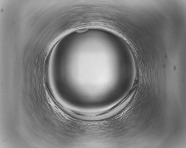 X0000056371534200508261350