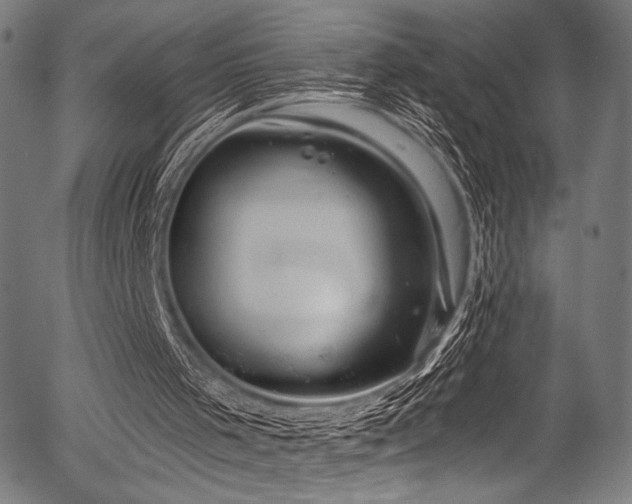 X0000056370001200508291413