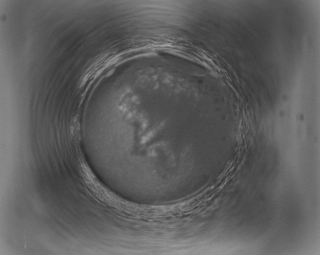 X0000056370002200508291413