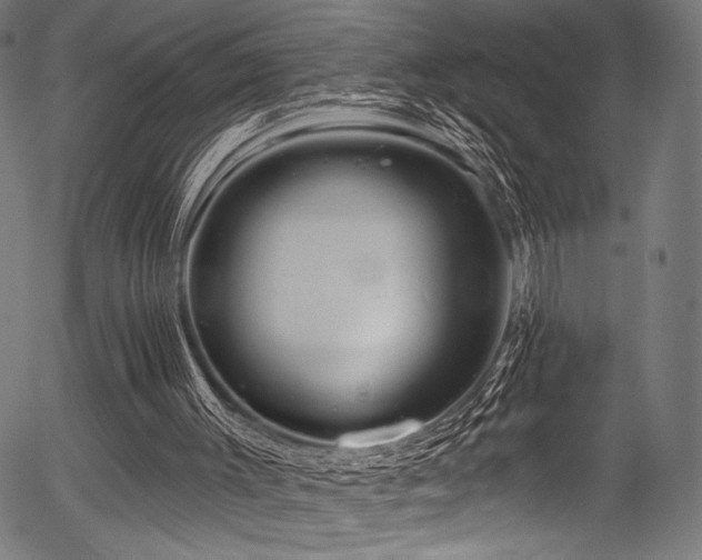 X0000056370003200508291413