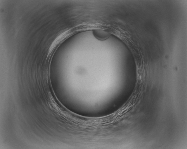 X0000056370004200508291413