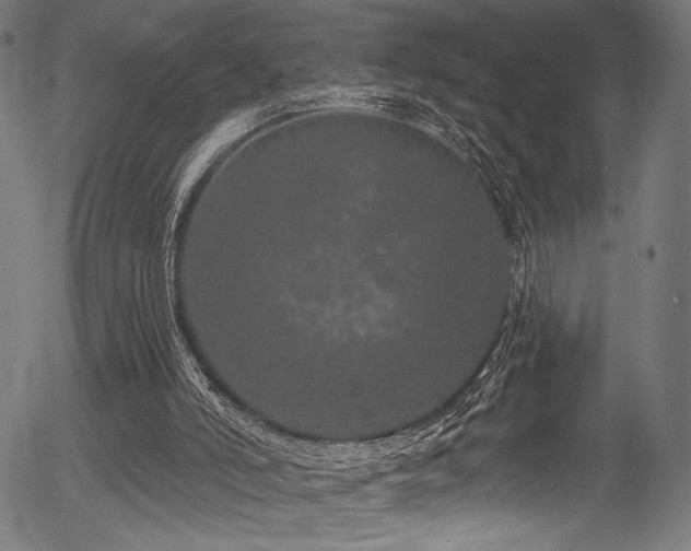 X0000056370006200508291413