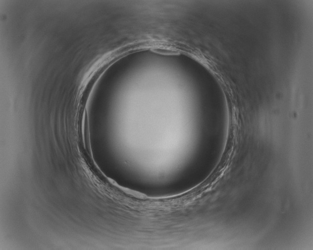 X0000056370007200508291413