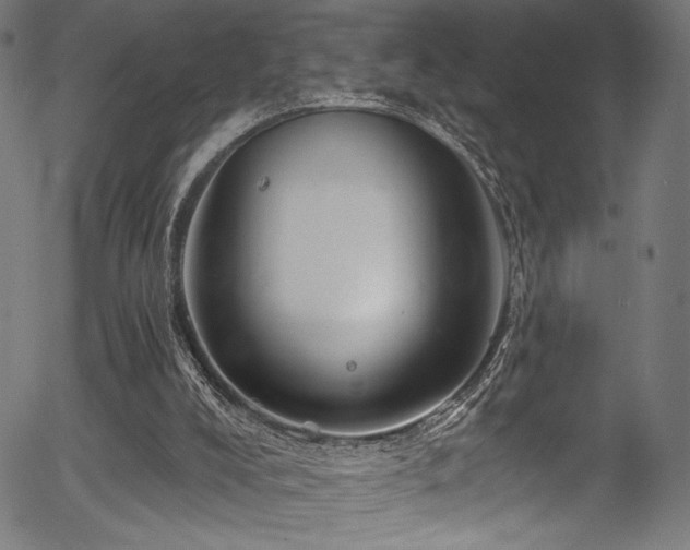 X0000056370008200508291413