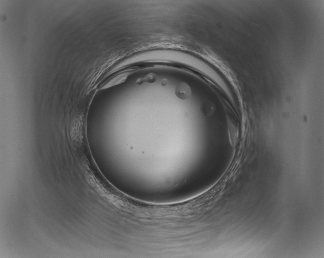 X0000056370009200508291413