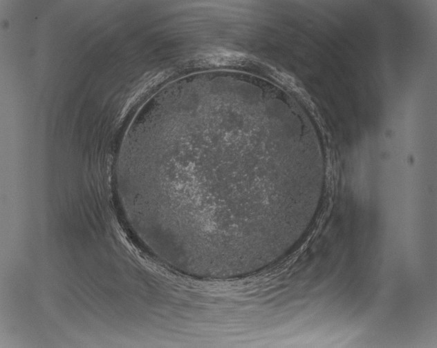 X0000056370010200508291413