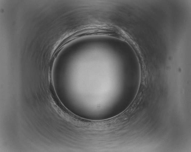 X0000056370011200508291413