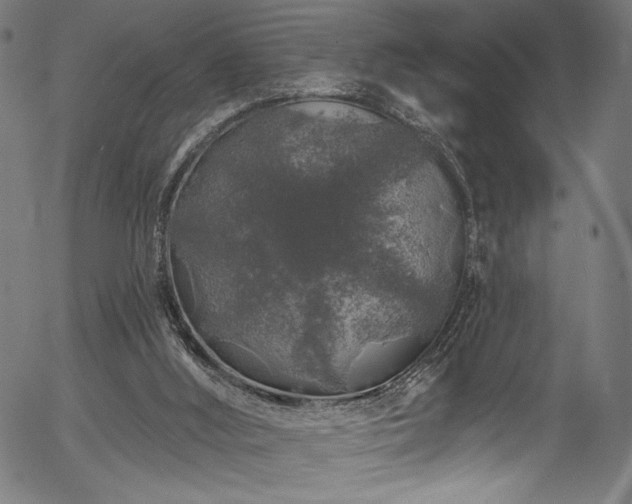 X0000056370012200508291413