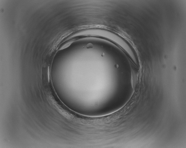 X0000056370013200508291413