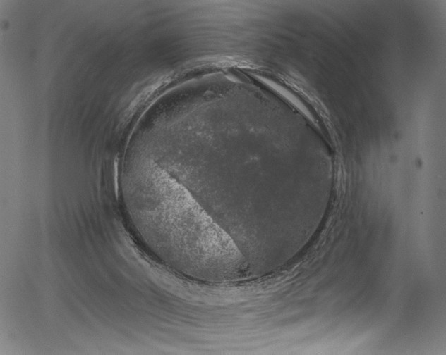 X0000056370014200508291413