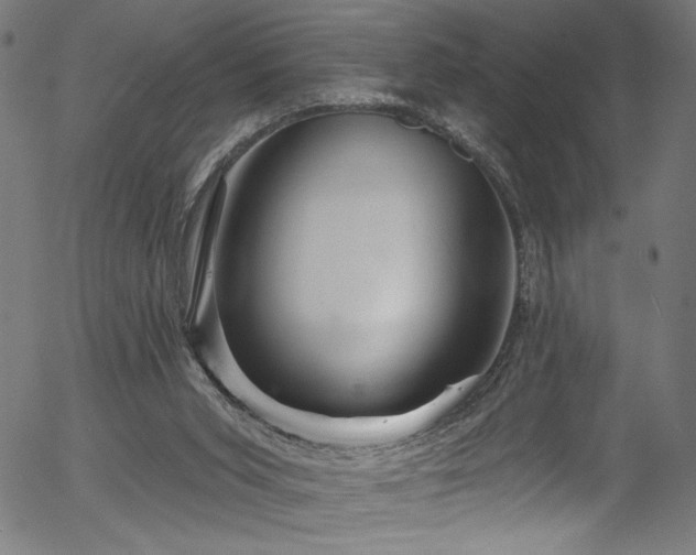 X0000056370015200508291413